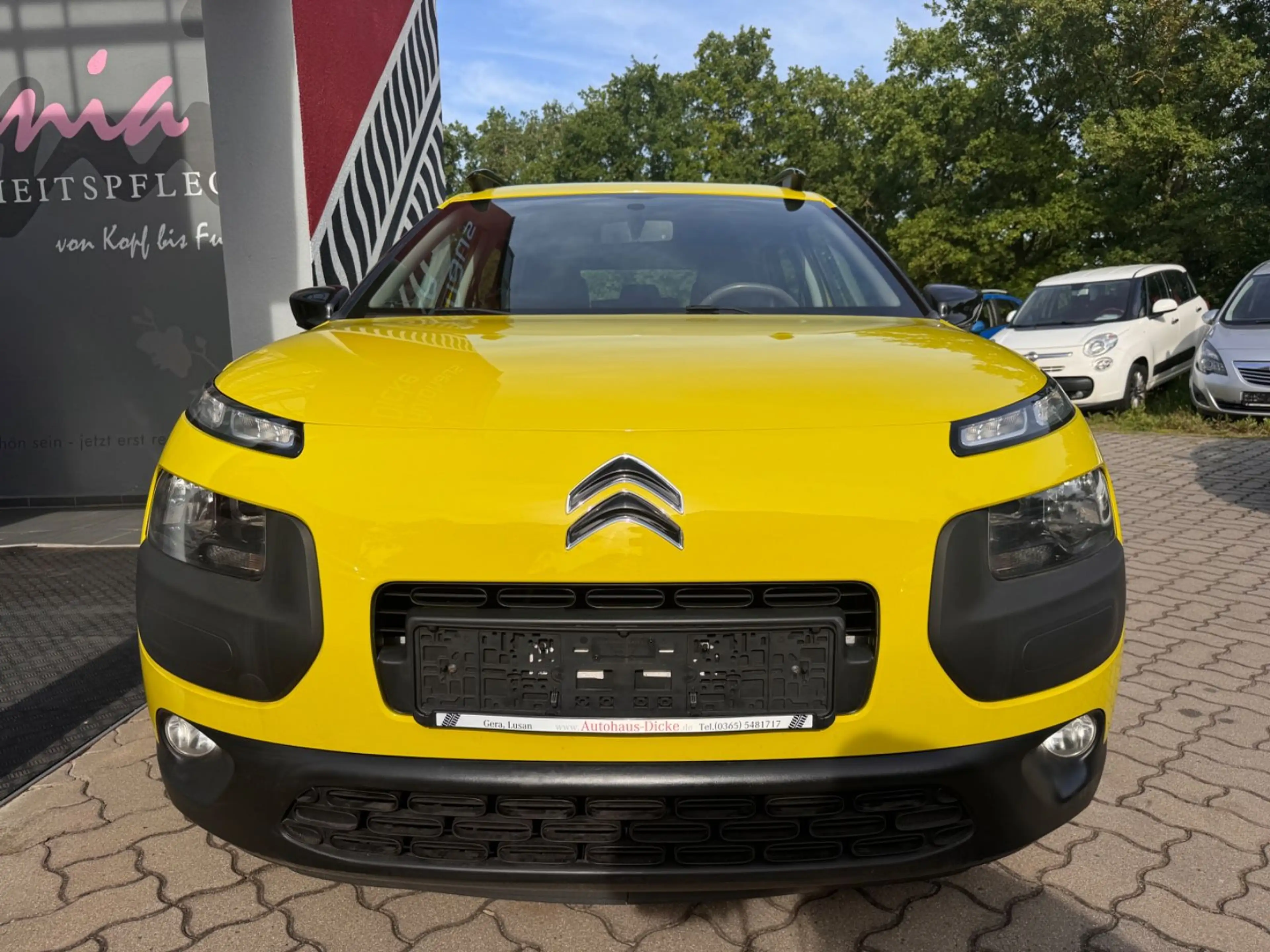 Citroen C4 Cactus Feel Sitzheizg Tempom 1.Hd — photo 4
