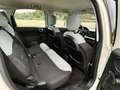 Fiat 500L 1.3 Multijet 85 CV Pop Star Bianco - thumbnail 13