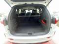 KGM Rexton KGM Black Edition 2,2 Diesel Aut. 4x4 Weiß - thumbnail 31