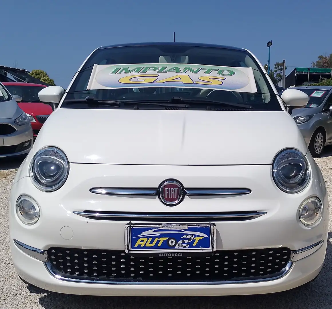 Fiat 500 1.2 LOUNGE BENZ/GPL Blanc - 1