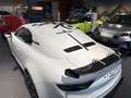 Alpine A110 R 70 Blanc Titan Akrapovic Abgasanlage Beyaz - thumbnail 15