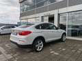 BMW X4 xDrive 20d 190cv xLine auto Pelle Xeno Cerchi19 Bianco - thumbnail 7