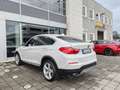BMW X4 xDrive 20d 190cv xLine auto Pelle Xeno Cerchi19 Bianco - thumbnail 6