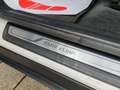 BMW X4 xDrive 20d 190cv xLine auto Pelle Xeno Cerchi19 Bianco - thumbnail 22