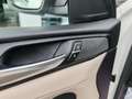 BMW X4 xDrive 20d 190cv xLine auto Pelle Xeno Cerchi19 Bianco - thumbnail 21