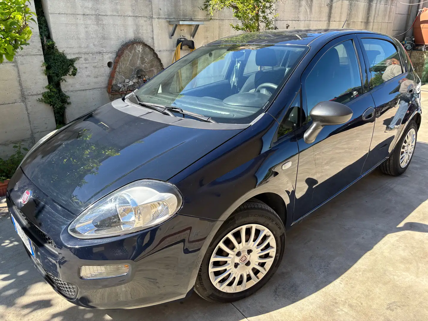 Fiat Punto Punto 5p 1.3 mjt Street s Синій - 2