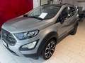 Ford EcoSport 1.0 ecoboost Active 125Cv Argento - thumbnail 3