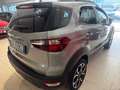 Ford EcoSport 1.0 ecoboost Active 125Cv Argento - thumbnail 4