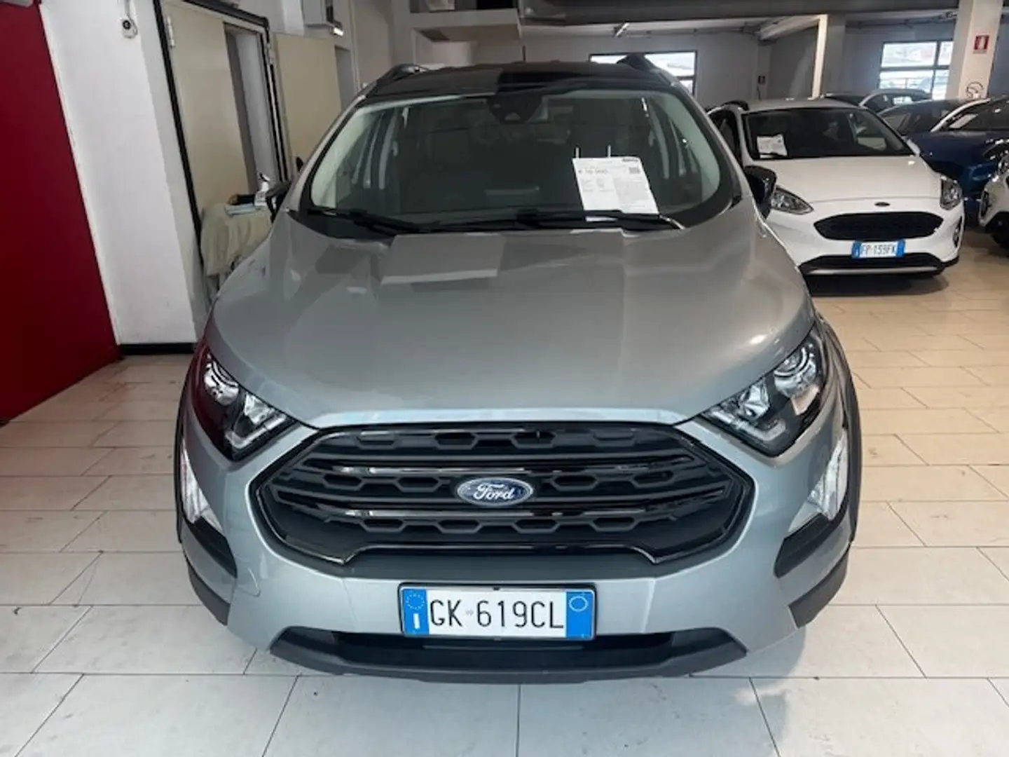 Ford EcoSport 1.0 ecoboost Active 125Cv Argento - 2
