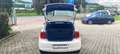 Volkswagen Polo Polo 1.2 TDI DPF 5 p. Comfortline Weiß - thumbnail 17