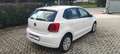 Volkswagen Polo Polo 1.2 TDI DPF 5 p. Comfortline Weiß - thumbnail 5