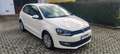 Volkswagen Polo Polo 1.2 TDI DPF 5 p. Comfortline Weiß - thumbnail 3