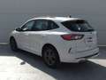 Ford Kuga Hybrid ST-Line Blanco - thumbnail 4