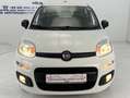 Fiat Panda Panda More*1,2-51KW*I.HAND*KLIMA*ESP*SERVO*ABS*EU6 Weiß - thumbnail 3