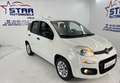 Fiat Panda Panda More*1,2-51KW*I.HAND*KLIMA*ESP*SERVO*ABS*EU6 Weiß - thumbnail 5