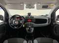 Fiat Panda Panda More*1,2-51KW*I.HAND*KLIMA*ESP*SERVO*ABS*EU6 Weiß - thumbnail 24
