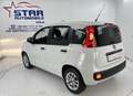 Fiat Panda Panda More*1,2-51KW*I.HAND*KLIMA*ESP*SERVO*ABS*EU6 Weiß - thumbnail 8