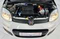 Fiat Panda Panda More*1,2-51KW*I.HAND*KLIMA*ESP*SERVO*ABS*EU6 Weiß - thumbnail 4