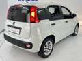 Fiat Panda Panda More*1,2-51KW*I.HAND*KLIMA*ESP*SERVO*ABS*EU6 Weiß - thumbnail 6