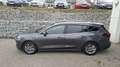 Ford Focus Turnier 1,5 EcoBlue Titanium Edition Aut. Grau - thumbnail 3