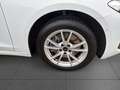 Audi A5 Avant adv TDI 150 kW S tro +AHK+ACC+LED-plus+ Weiß - thumbnail 4