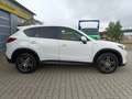 Mazda CX-5 CD150 Attraction Aut. *XENON*SHZ*8-fach bereift Weiß - thumbnail 5