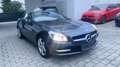 Mercedes-Benz SLK 250 SLK Roadster SLK 250 BlueEfficiency Gris - thumbnail 6