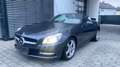 Mercedes-Benz SLK 250 SLK Roadster SLK 250 BlueEfficiency Gris - thumbnail 5