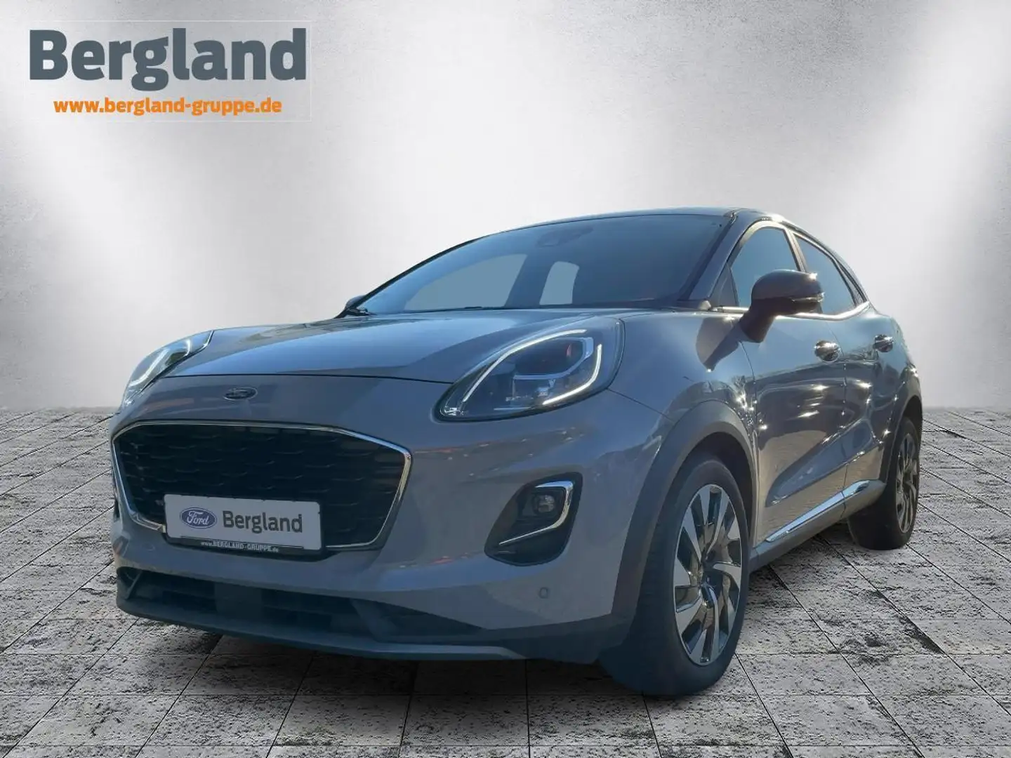 Ford Puma Gris - 1