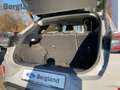 Ford Puma Titanium AUTOM. WINTERPAK. GANZJAHRESREIFEN Grau - thumbnail 13