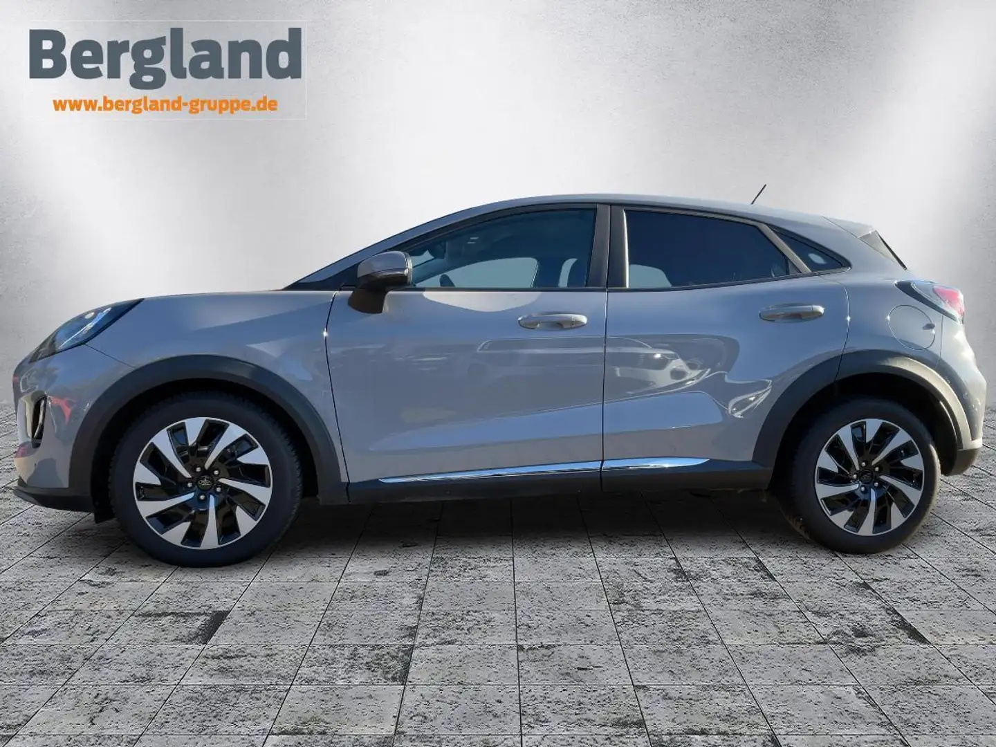 Ford Puma Gris - 2