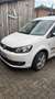 Volkswagen Caddy Caddy TDI 1.6 TDI (7-Si.) Roncalli Edition Weiß - thumbnail 5