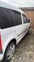 Volkswagen Caddy Caddy TDI 1.6 TDI (7-Si.) Roncalli Edition Weiß - thumbnail 4