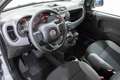 Fiat Panda 1.0 HYBRID 70cv FIREFLY CITY LIFE *NEO PATENTATI* Grigio - thumbnail 7