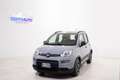 Fiat Panda 1.0 HYBRID 70cv FIREFLY CITY LIFE *NEO PATENTATI* Grigio - thumbnail 3