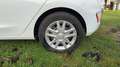 Ford Fiesta VI 1.0 Ecoboost 85 Business Blanc - thumbnail 19