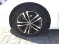 Mercedes-Benz B 180 Progressive Line Advanced, AHV Weiß - thumbnail 6
