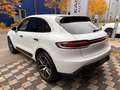 Porsche Macan III · ACC Radar · 360° · Sitzbelüft · 20" Weiß - thumbnail 25