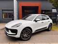 Porsche Macan III · ACC Radar · 360° · Sitzbelüft · 20" Weiß - thumbnail 1