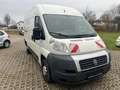 Fiat Ducato 2.3TDI 88KW H+L AHK-2500kg TÜV Fällig Weiß - thumbnail 10