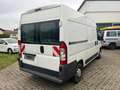 Fiat Ducato 2.3TDI 88KW H+L AHK-2500kg TÜV Fällig Weiß - thumbnail 7