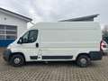 Fiat Ducato 2.3TDI 88KW H+L AHK-2500kg TÜV Fällig Weiß - thumbnail 3