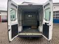 Fiat Ducato 2.3TDI 88KW H+L AHK-2500kg TÜV Fällig Weiß - thumbnail 15