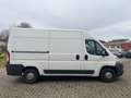 Fiat Ducato 2.3TDI 88KW H+L AHK-2500kg TÜV Fällig Weiß - thumbnail 8