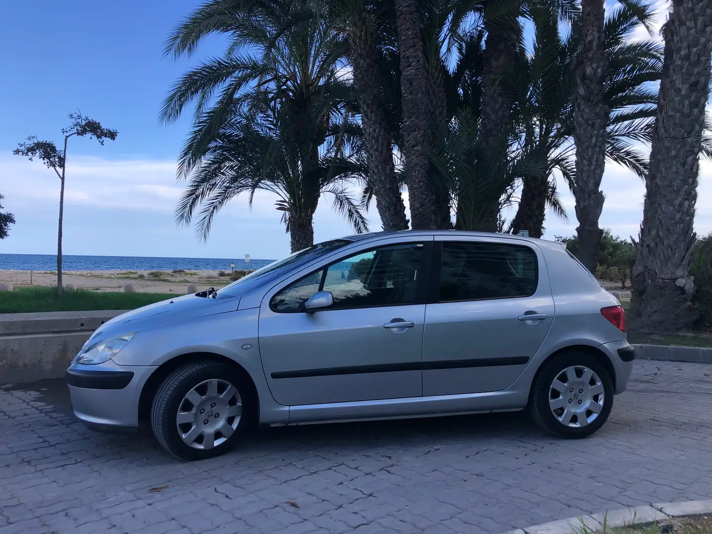 Peugeot 307 307 Break 2.0HDI XT 110 XT Gris - 1