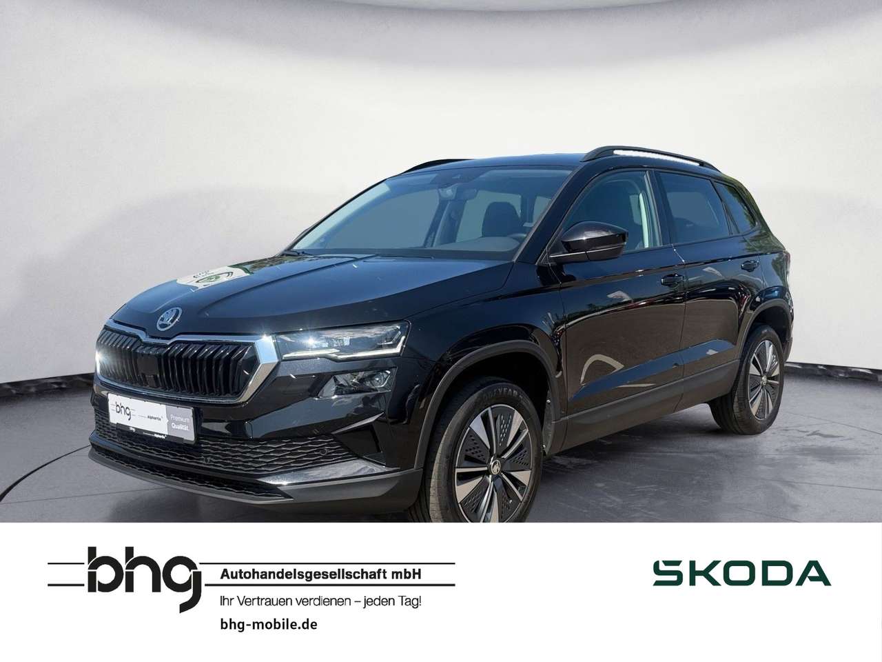 Skoda Karoq 2024 — Selection 2,0 TDI Matrix AHK Navi Kamera