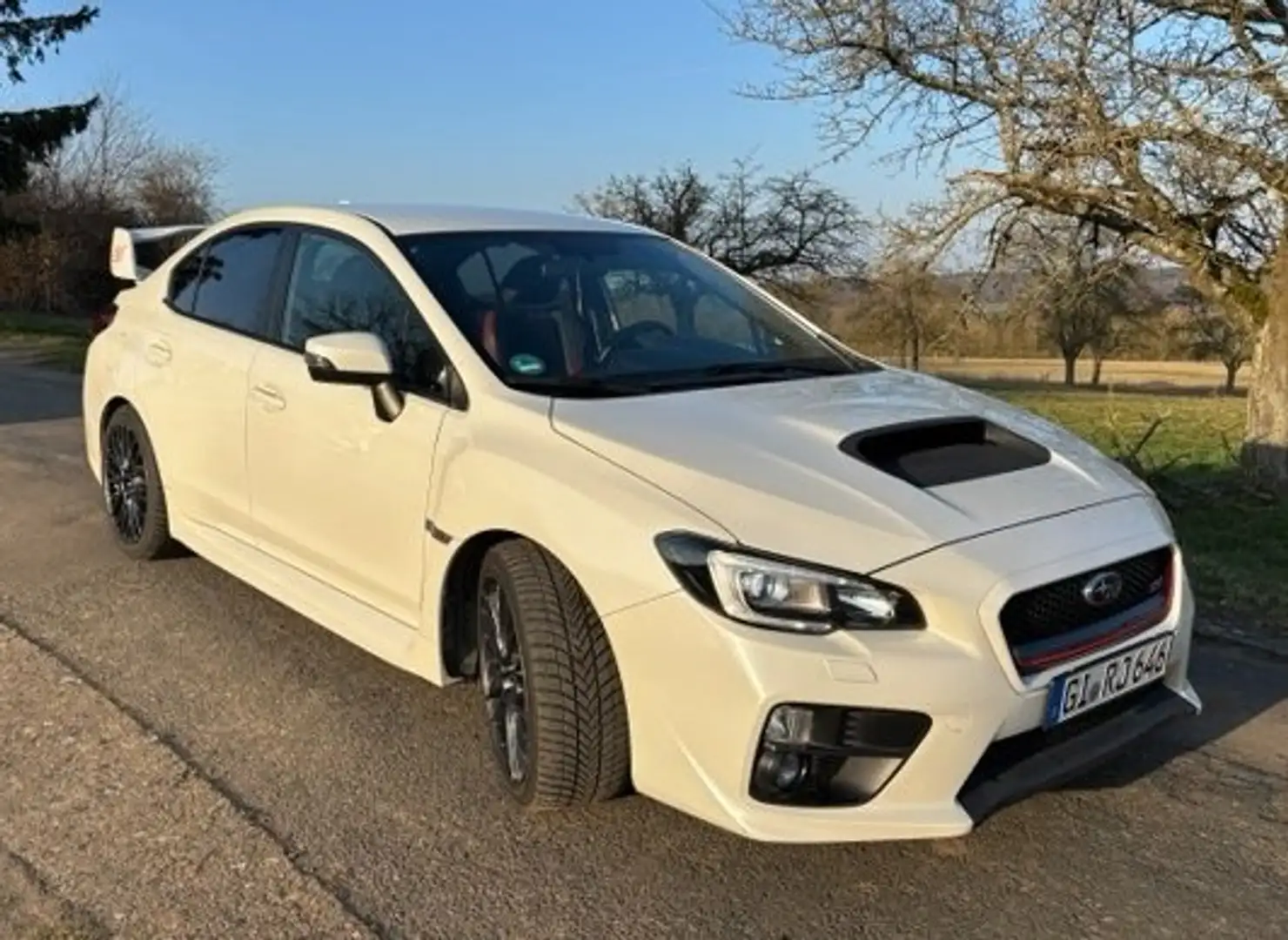 Subaru WRX WRX STI STI Active White - 1