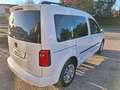 Volkswagen Caddy 2.0 TDI 102 CV DSG Plus 5 POSTI N1 N°FY086 Blanco - thumbnail 12