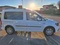 Volkswagen Caddy 2.0 TDI 102 CV DSG Plus 5 POSTI N1 N°FY086 Blanco - thumbnail 6