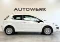 Fiat Punto Evo Dynamic*KLIMA* Blanco - thumbnail 3